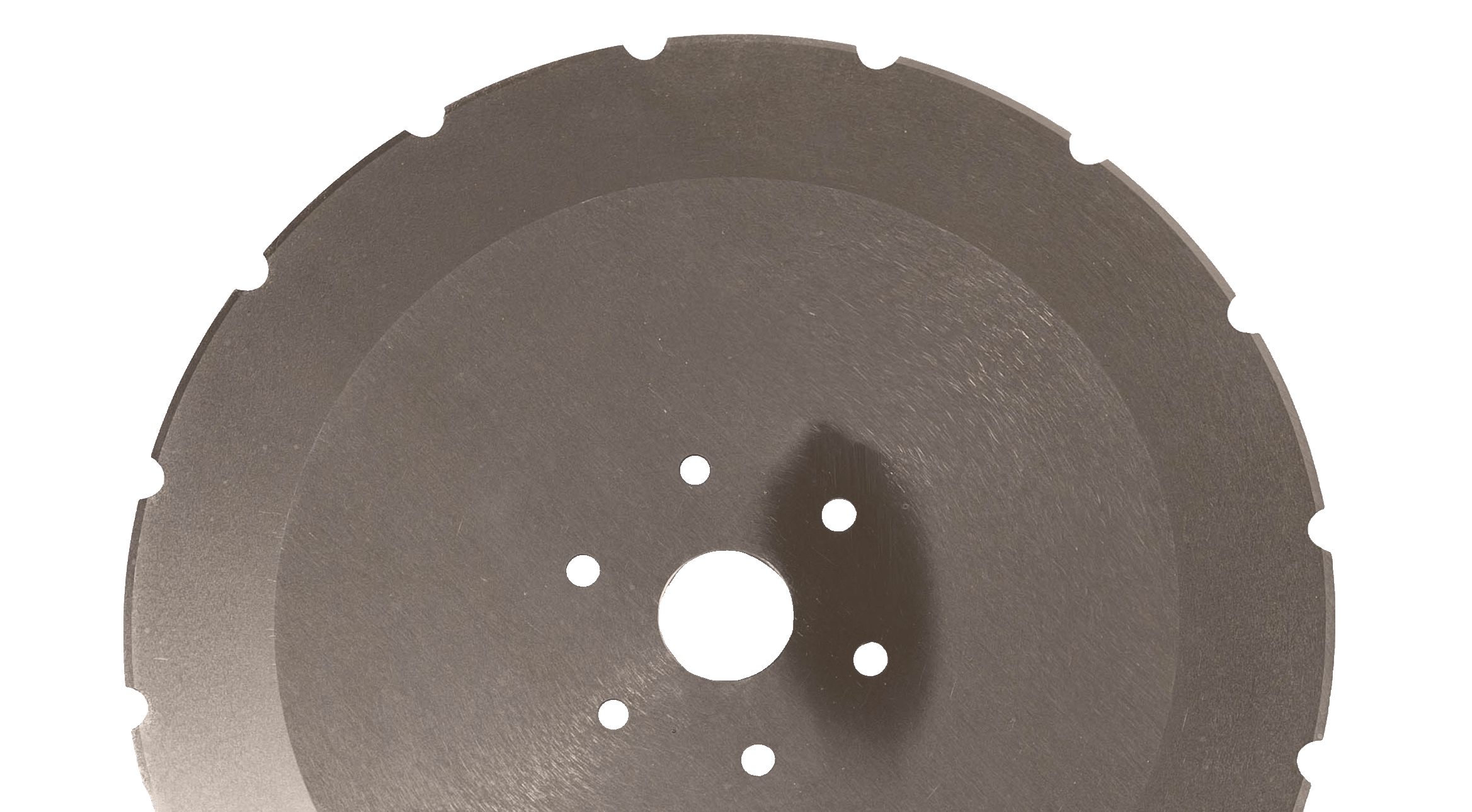 Kreissägenmesser im Detail